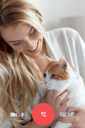 Kobieta z kotem, podczas rozmowy wideo z lekarzem weterynarii online